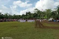 HUT-7