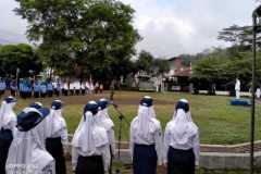 Padus-1
