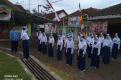 Padus-3