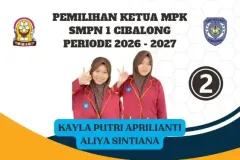 Pilketos-5-optimized