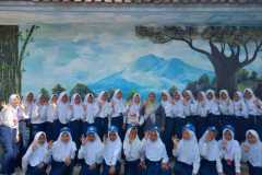 PMR-17
