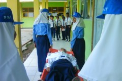 PMR-25