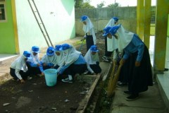 PMR-29